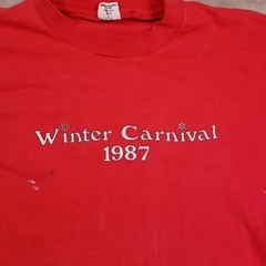VTG 1987 Winter Carnival Shirt Sz Lg Greek Formal Party Pi Kappa Alpha PAINTED