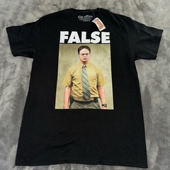 The Office “FALSE” Dwight Schrute Sz M Black Short Sleeve Ripple Junction NWT