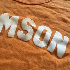 Clemson Tigers Shirt Mens M Russell Athletic Vintage 70s Flocked Letters