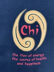 Vintage Mens 90s Discovery Channel Brand chi Energy Tshirt Size Large Black