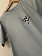 Disney Blizzard Beach Sports Activewear Gym T-Shirt S Grey Logos Good Condition