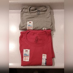 Fruit of the Loom Dual Defense Men’s Short Sleeve Tees in Gray and Red 4XL