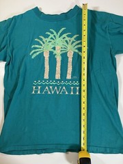 Vintage 90s single stitch blue green Hawaii gold foil palm trees sz L graphic