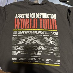 Large Guns And Roses Tee