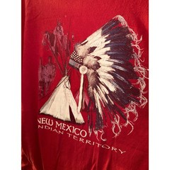 Vintage New Mexico Indian Territory Graphic T-Shirt Red Delta Pro Weight 2XL