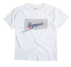Seymour Connecticut CT Conn T-Shirt MAP