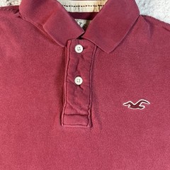 Hollister Men