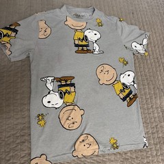 MENS PEANUTS SNOOPY CHARLIE BROWN WOODSTOCK GRAY T-SHIRT SIZE M