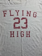 Air Jordan Flying High 23 Shirt L Jumpman MJ Michael Jordan His Airness Dri-fit