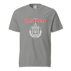 Scam Gang University Gray