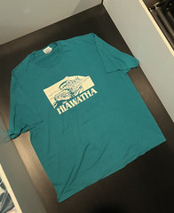 Adult Hanes Hiawatha Paddlewheel Riverboat Pennsylvania Graphic T Shirt 2XL 6763