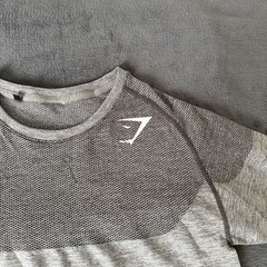 OG Gymshark Phantom Seamless T-Shirt in Grey (2016 David Laid)