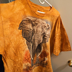 The Mountain Elephant Print Golden Brown Tie-Dye Cotton Crew Tee Adult 3XL New