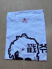 Troye Sivan Concert T-Shirt NEW Tour NEW Small Chinese Mandarin Poke Me S