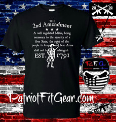 t shirt,The Second Amendment,A Well Regulated Militia,Molon Labe,2A,Guns Rights