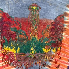 Suwannee Hulaween Shirt Mens Large Tie Dye Music Festival Creature of Galaxy
