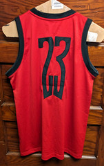 Air Jordan Last Shot Photo Jersey Men L Jumpman Mesh Last-Dance MJ Bulls Sewn