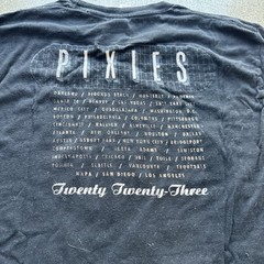 Pixies Band Shirt Mens L Black Doolittle Album Tour 2023 Tultex Indie Rock Tee