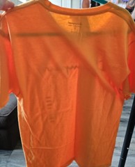 Champion Mens Medium Capri Orange Tshirt Shirt NEW w Tags Logo Free Shipping