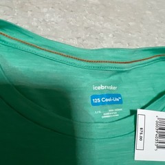 Icebreaker Shirt Men Large Green 125 Cool Lite Sphere Short Sleeve Tee Running