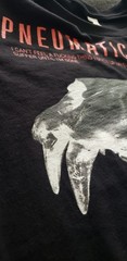 SDYSTOPIA_SKULL_01 T-Shirt | Bella + Canvas 3001 XS,S,M,L