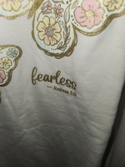 Women’s 3XL Long Beige/Pink Raglan Crew T-Shirt Butterfly Fearless Joshua 1:9