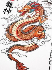 Niepce Japanese Streetwear T-shirt Fury Dragon Print Graphic Tee for Men