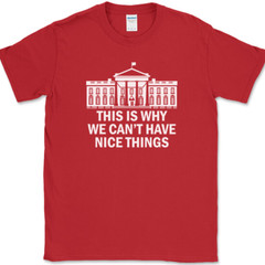 Why We Can’t Have Nice Things T-Shirt Funny Anti Government Political Tee