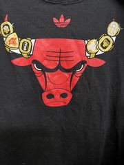 Adidas Chicago Bulls Shirt 6 Championship Rings – L