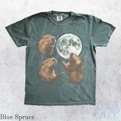 Vintage Capybara Galaxy Animal Graphic Comfort Tee