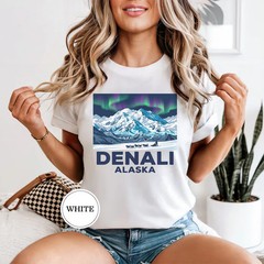 Denali Alaska Aurora Comfort Tee National Park Travel Souvenir