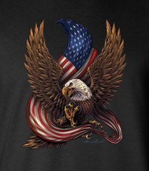 American Flag / Eagle 1776 2-Sided T-Shirt / Patriot Freedom USA 2nd Amendment
