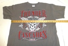 19th Annual Thunder in the Cascades 2013 Men’s Graphic T-Shirt Size: Large Gray