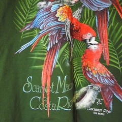 Vintage Tucan Tico Costa Rica Macaw Graphic T Shirt Size L Green New With Tags