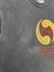 Vintage Mens 90s Discovery Channel Brand chi Energy Tshirt Size Large Black