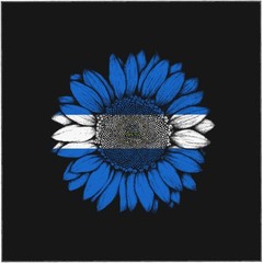 Vintage Sunflower Nicaraguan Nicaragua Flag_ Square Tablecloth Black, Stain & Wr