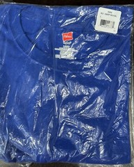 Hanes Tagless 100% Preshrunk Cotton Men’s Size Large Tee Shirts Many Colors