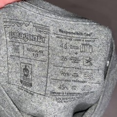 Patagonia Shirt Mens Medium Gray Responsibili-Tee P-6 Logo Mountain Short Sleeve