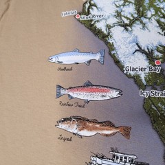 Southeast Alaska Shirt Mens XL Tan Graphic Map Fish Cities Bald Eagle Tee Cotton