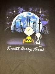 Peanuts x Knott’s Berry Farm graphic tee featuring Charlie Brown and Snoopy L