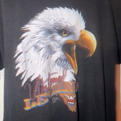 Vintage 1986 Harley Davidson 3D Emblem Eagle Untamed Legend Rare Melbourne Fl