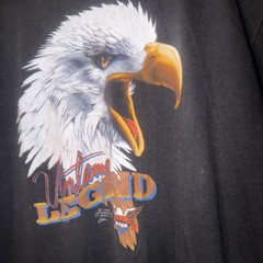 Vintage 1986 Harley Davidson 3D Emblem Eagle Untamed Legend Rare Melbourne Fl