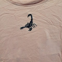 Hollister Must Have collection Peach Colored Scorpion shirt Sz Medium