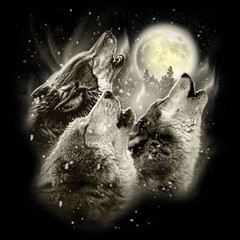 Wolf Howl T Shirt Choose Style & Size Up to 4XL 10461