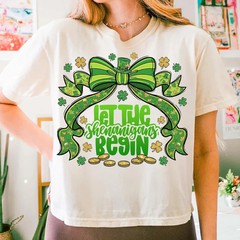 Let The Shenanigans Begin Comfortable T-Shirt Funny Party Humor Gift