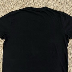 Hollister Tshirt Mens Must Have Collection Short Sleeve Shirt