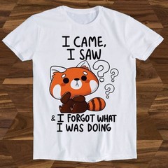 #26 I Came I Saw I Forget What I Was Doing Forgetful Red Panda Hilarious Witty H