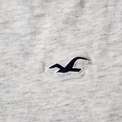 Hollister Men’s T-Shirt Must-Have Collection, Gray Size Small NWT