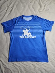 Peter Millar The Roundup T Shirt Mens Size Large Blue White Striped UPF 50+ NEW