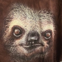 The Mountain Brown Tie-dye Sloth Graphic Cotton Crew Neck Short Sleeve Tee 5XL